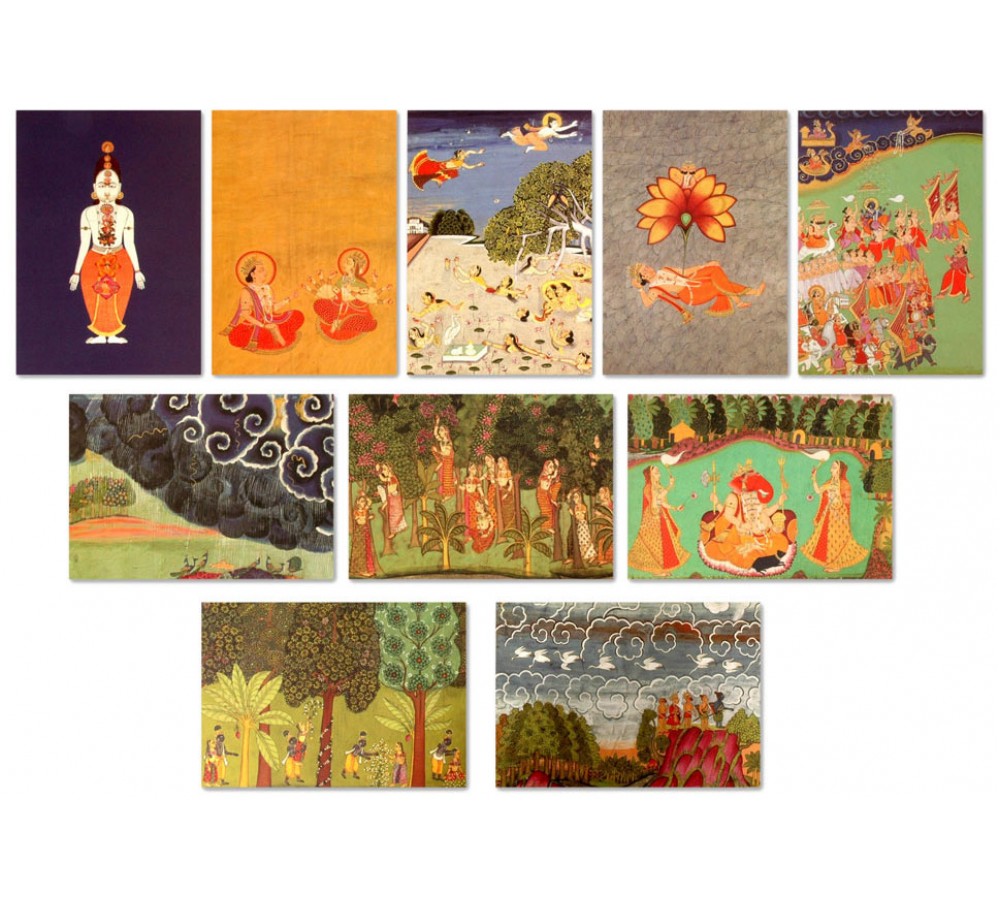 Folio Set of 10 Postcards, Garden & Cosmos