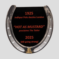 COMMEMORATIVE JODHPUR POLO HORSESHOE FRAME