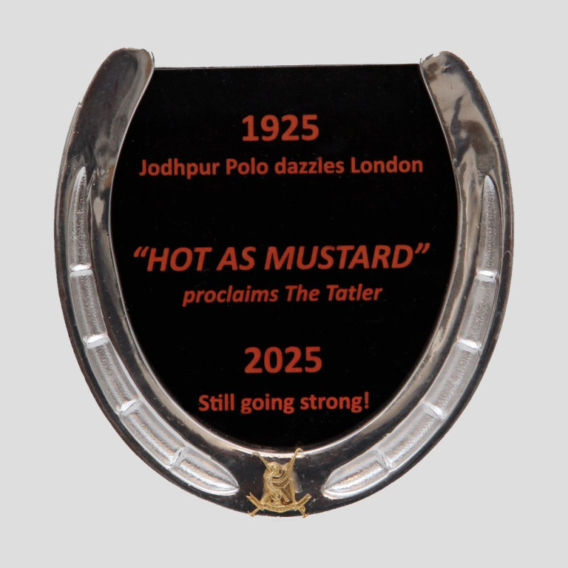 COMMEMORATIVE JODHPUR POLO HORSESHOE FRAME